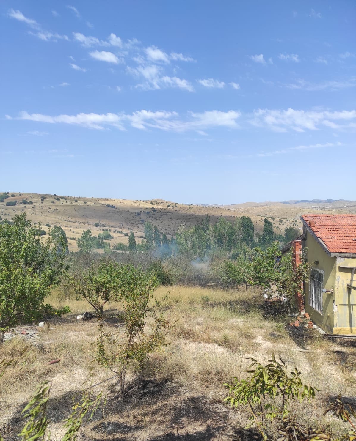 Ankara’da orman yangını