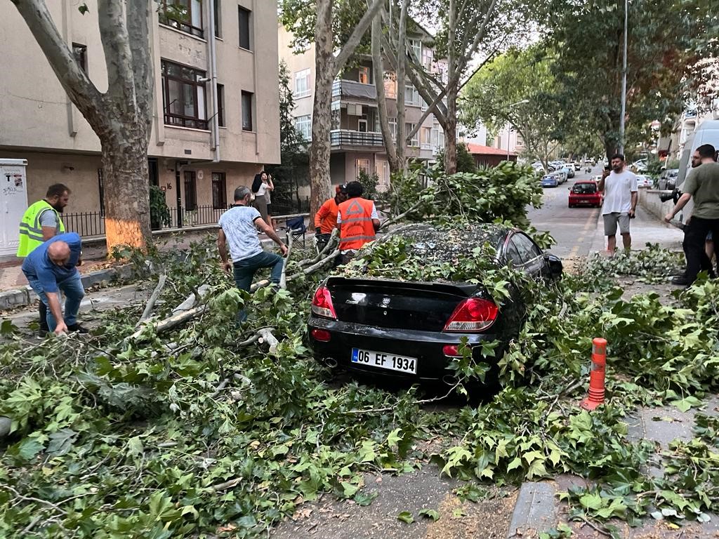 Ankara’da fırtına etkili oldu, ağaçlar araçların üzerine devrildi