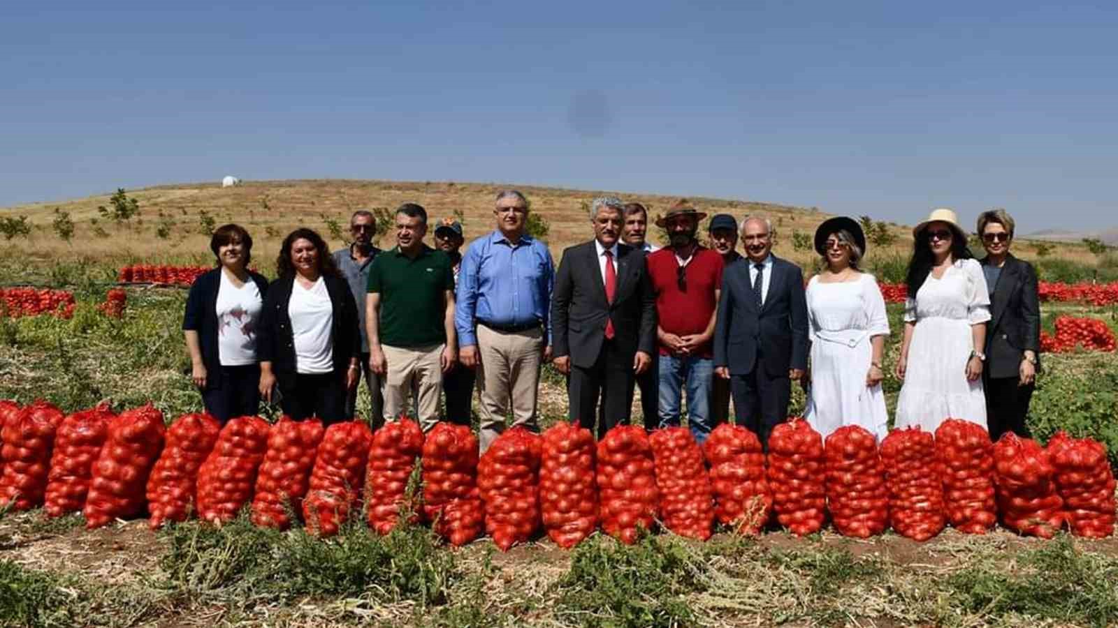 Ekonomisine can kattı: Kadın girişimci devletten aldığı destekle lavanta yetiştiriyor