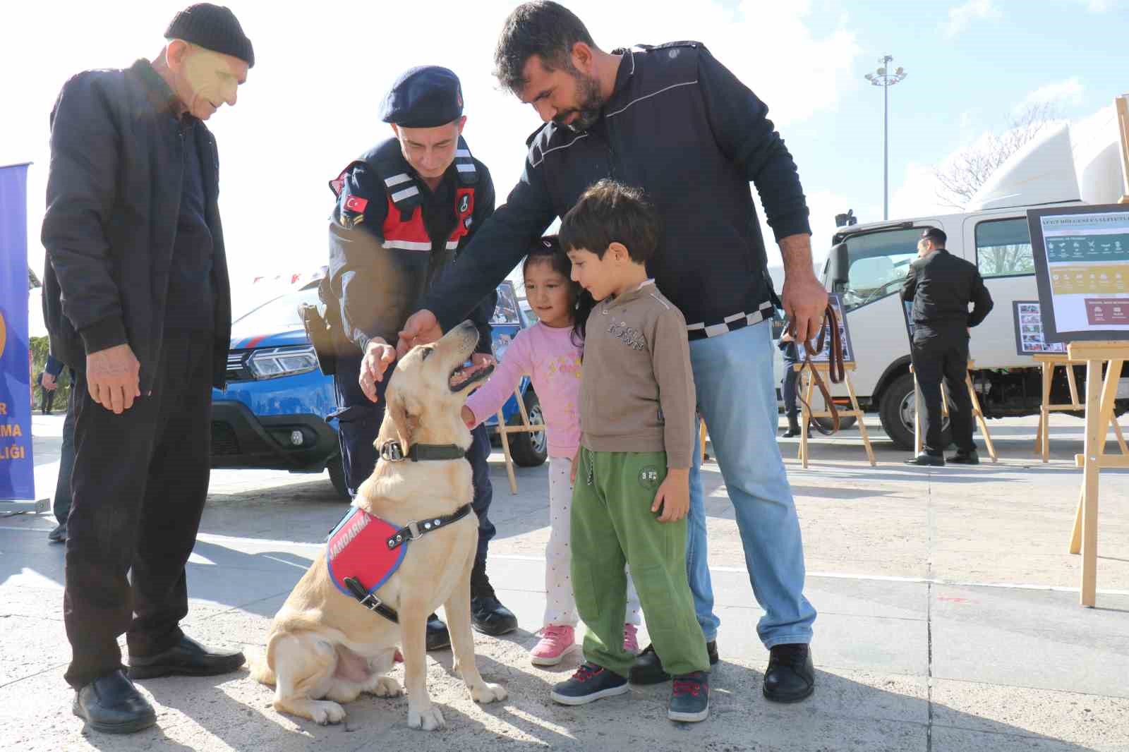 Deprem bilgilendirmesinde jandarma köpekleri ilgi odağı oldu