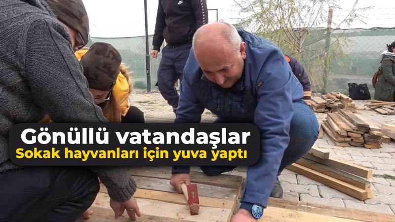 Gönüllü vatandaşlar sokak hayvanları için yuva yaptı