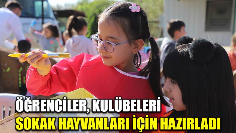 Öğrenciler, kulübeleri sokak hayvanları için hazırladı