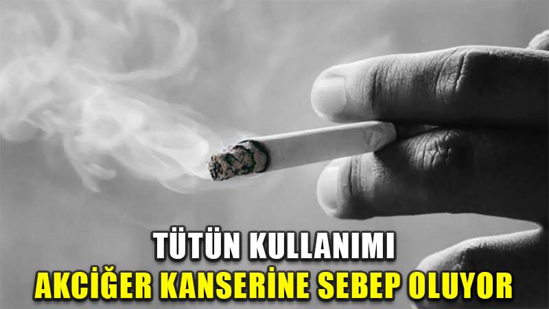 Tütün kullanımı akciğer kanserine sebep oluyor