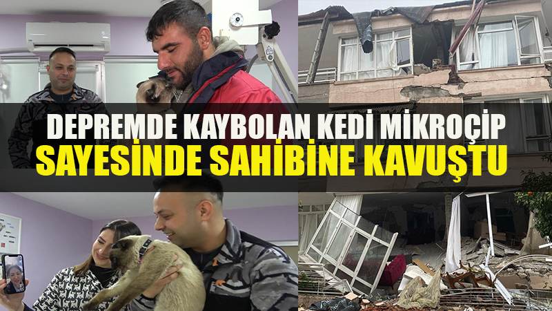 Depremde kaybolmuştu, mikroçip sayesinde ’Paşa’nın sahibi bulundu