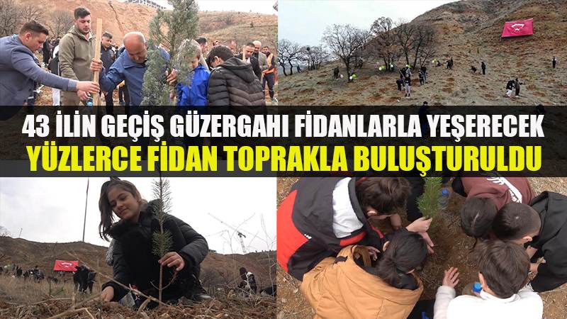 43 ilin geçiş güzergahı fidanlarla yeşerecek: Yüzlercesi toprakla buluşturuldu