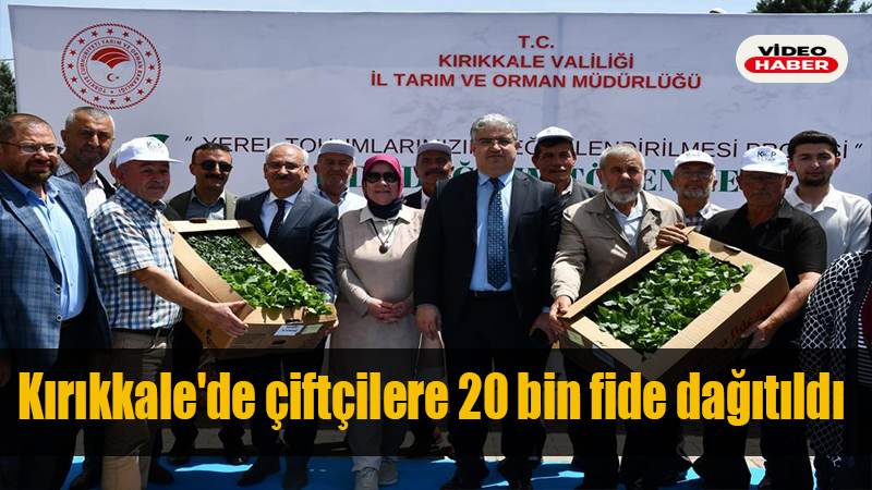 Kırıkkale'de çiftçilere 20 bin fide dağıtıldı