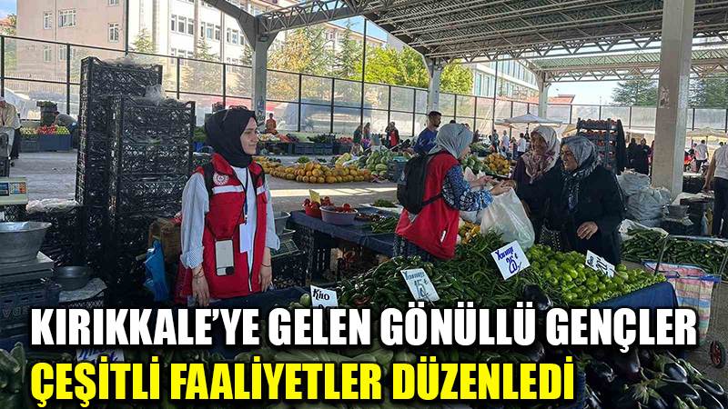 Kırıkkale’ye gelen gönüllü gençler çeşitli faaliyetler düzenledi