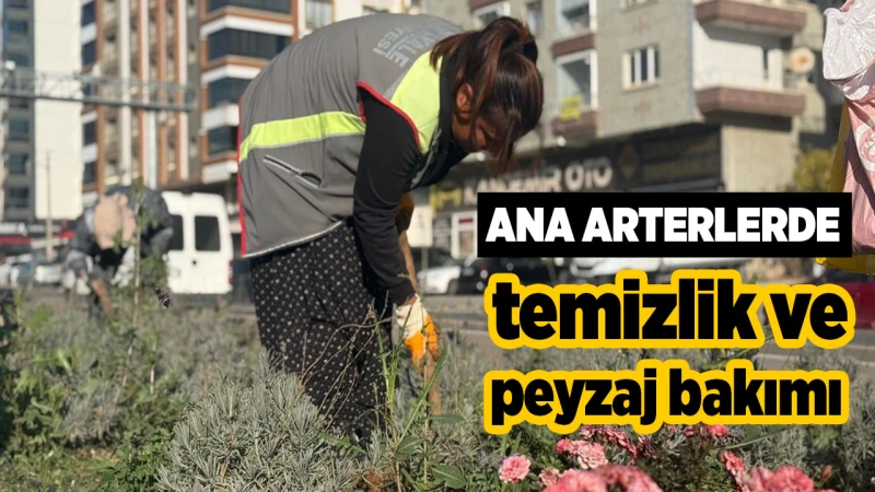 Ana arterlerde temizlik ve peyzaj bakımı