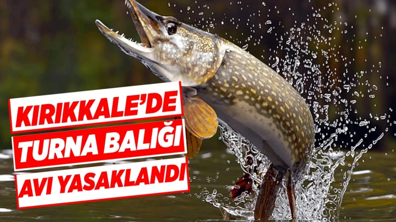 Kırıkkale’de Turna Balığı avı yasaklandı