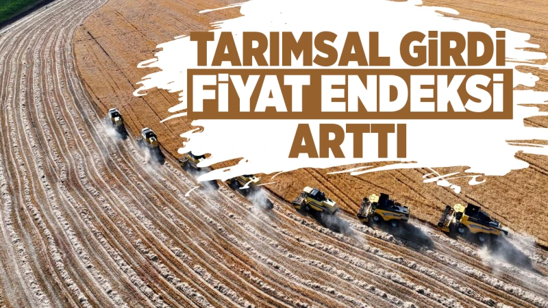 Tarımsal girdi fiyat endeksi arttı