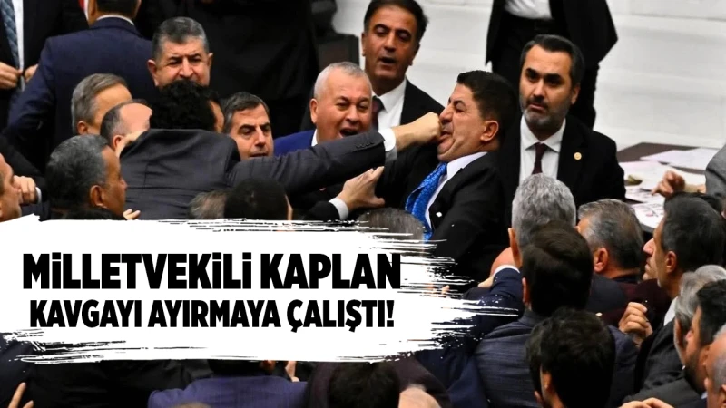 Milletvekili Kaplan, kavgayı ayırmaya çalıştı!