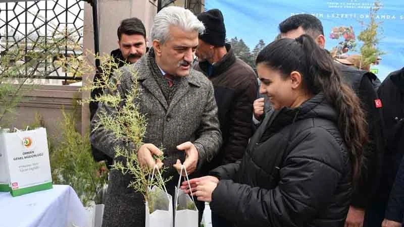 Ormanlar, doğanın ve hayatın kalbidir