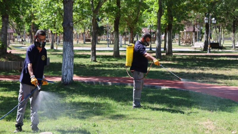 Park ve yeşil alanlarda çevre dostu ilaçlama çalışması