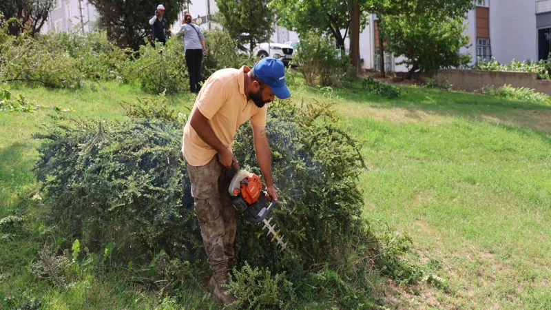 Yeşil alanlara estetik dokunuş
