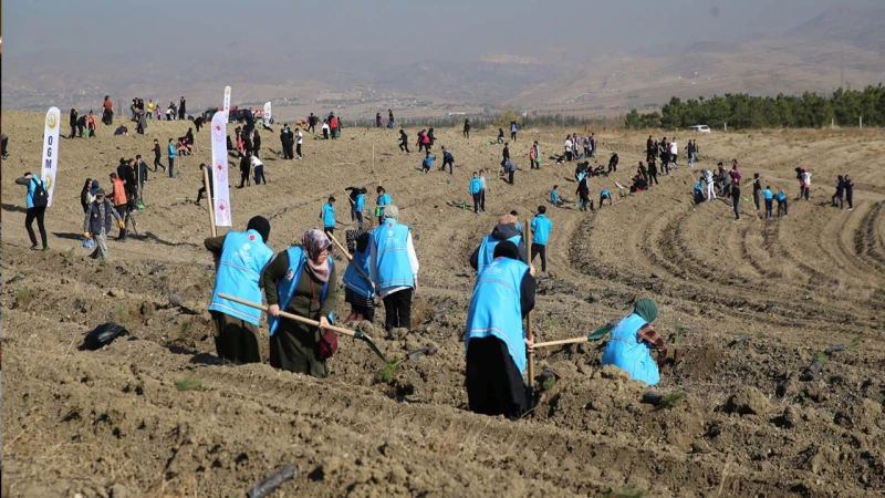 TDV’den “1 İyilik 1 Fidan” Projesiyle Fidan Seferberliği
