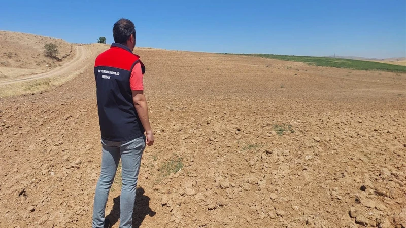İşlenmeyen tarım arazileri üretime kazandırılıyor