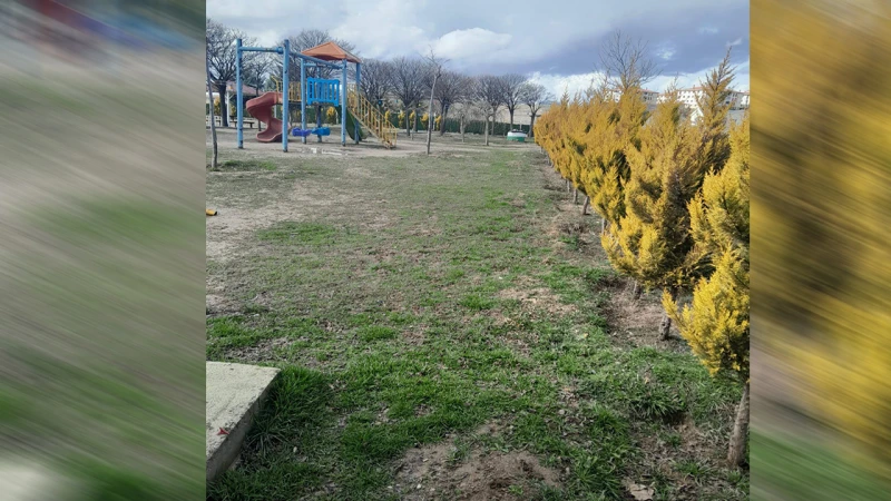 Balışeyh’in her bölgesi yenileniyor