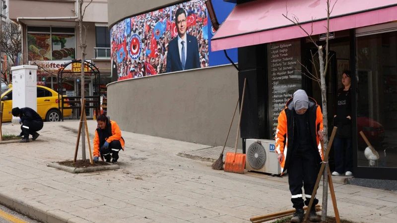 Kırıkkale’nin her bölgesi bu yıl ıhlamur kokacak