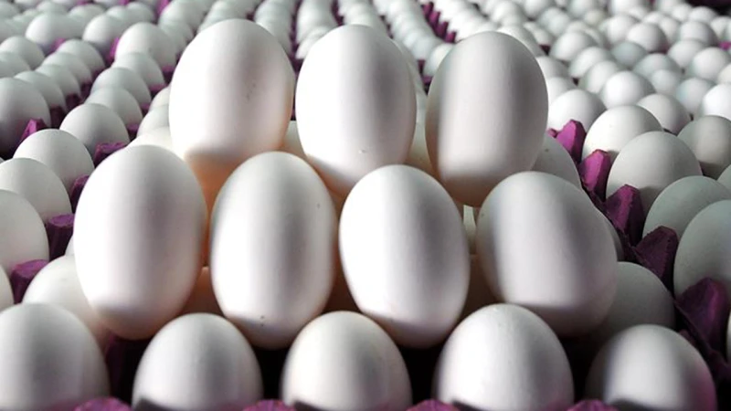 Yumurta satışlarında yeni düzenleme