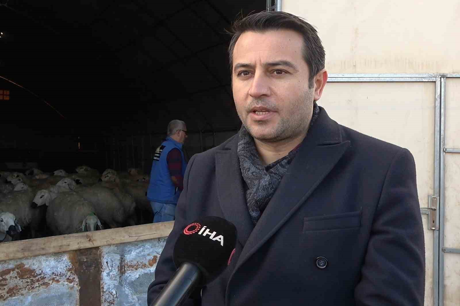 Çiçek hastalığından 150 tanesi telef olmuştu: Karantinaya alınan 12 bin küçükbaş hayvan aşılanıyor