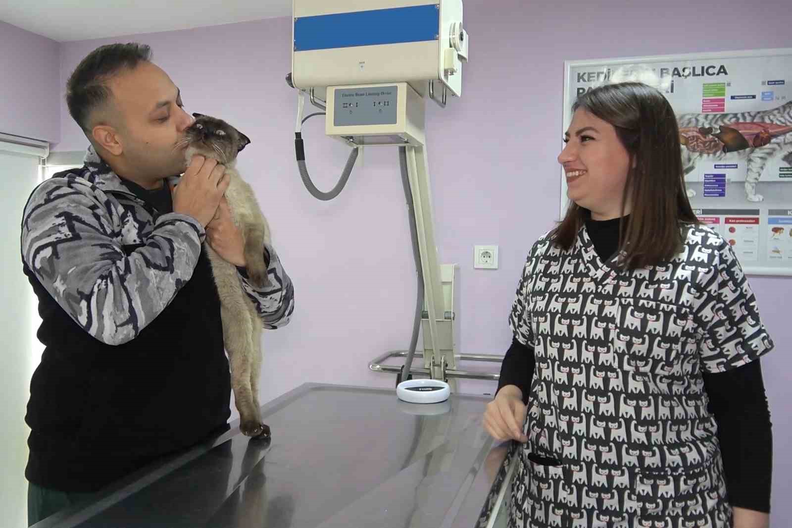 Depremde kaybolmuştu, mikroçip sayesinde ’Paşa’nın sahibi bulundu