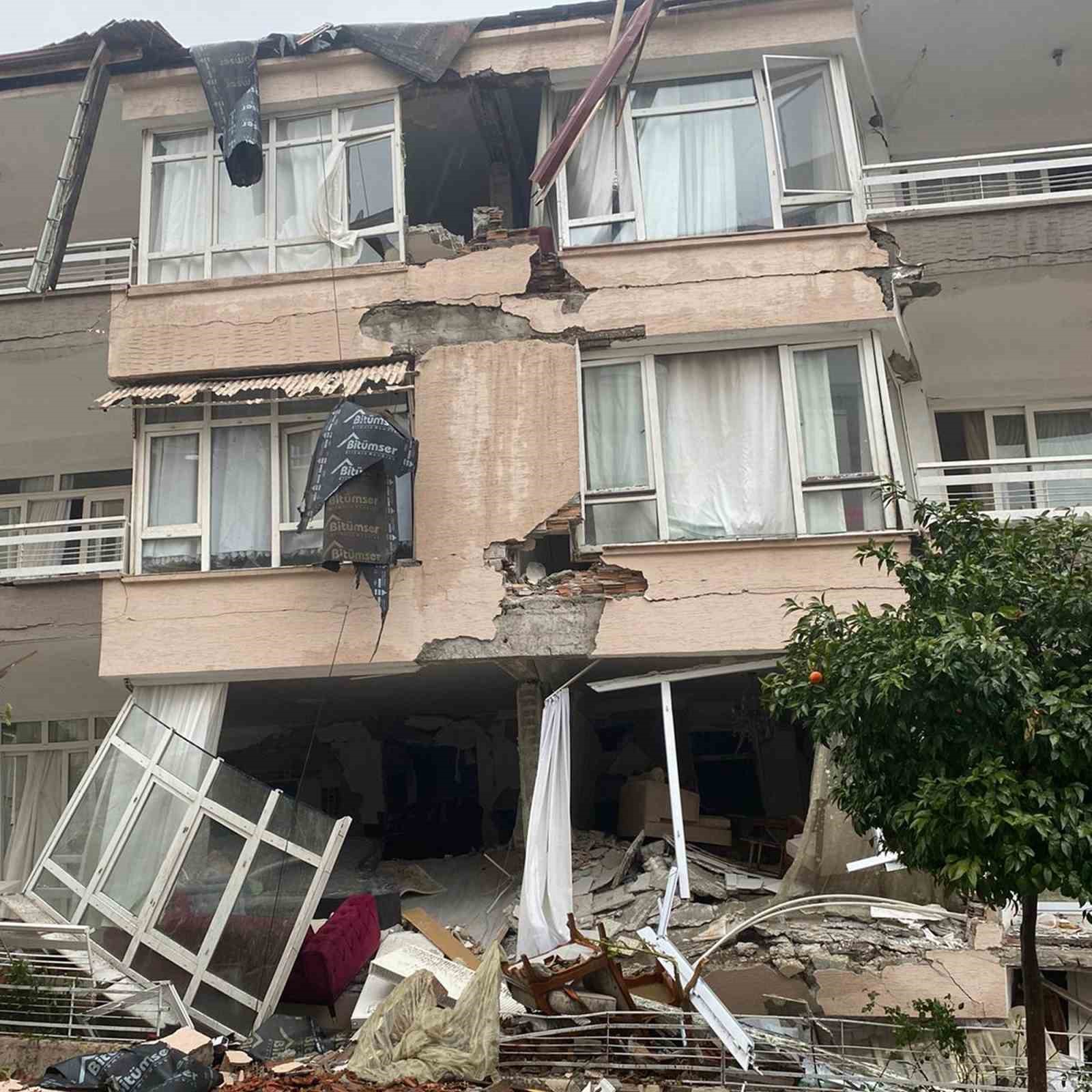 Depremde kaybolmuştu, mikroçip sayesinde ’Paşa’nın sahibi bulundu