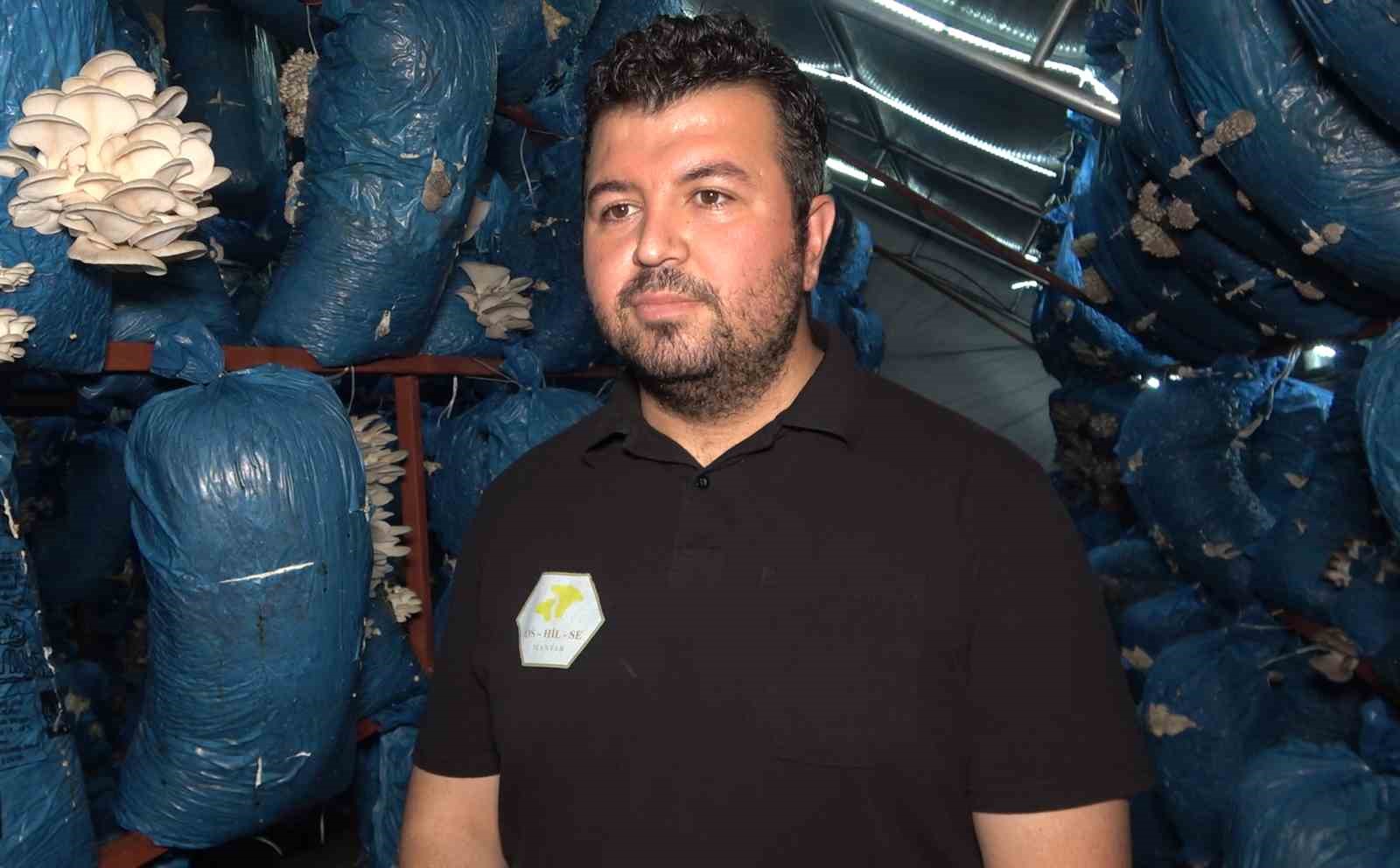 Çocukluk arkaaşdı 3 mühendis istiridye mantarı üretiyor: Kilosu 70 liradan satılıyor