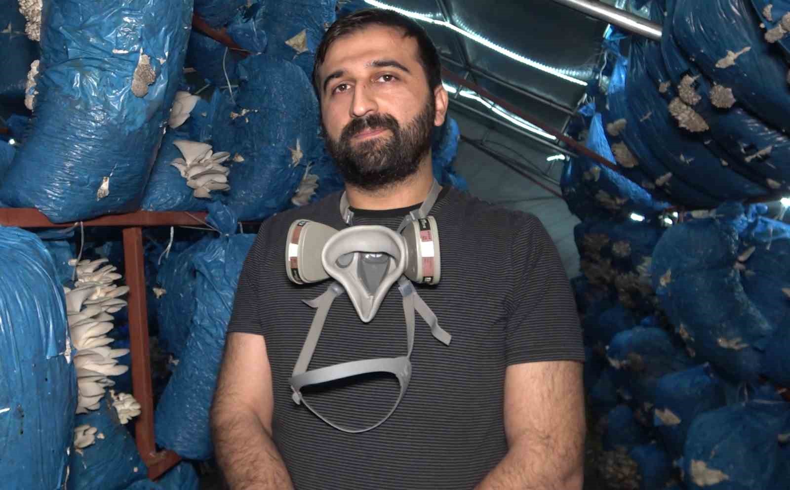 Çocukluk arkaaşdı 3 mühendis istiridye mantarı üretiyor: Kilosu 70 liradan satılıyor