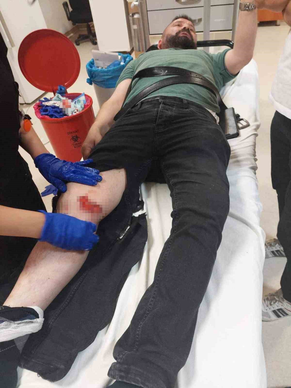 Ankara’da sokak köpeklerinin saldırdığı 2 kişi hastanelik oldu