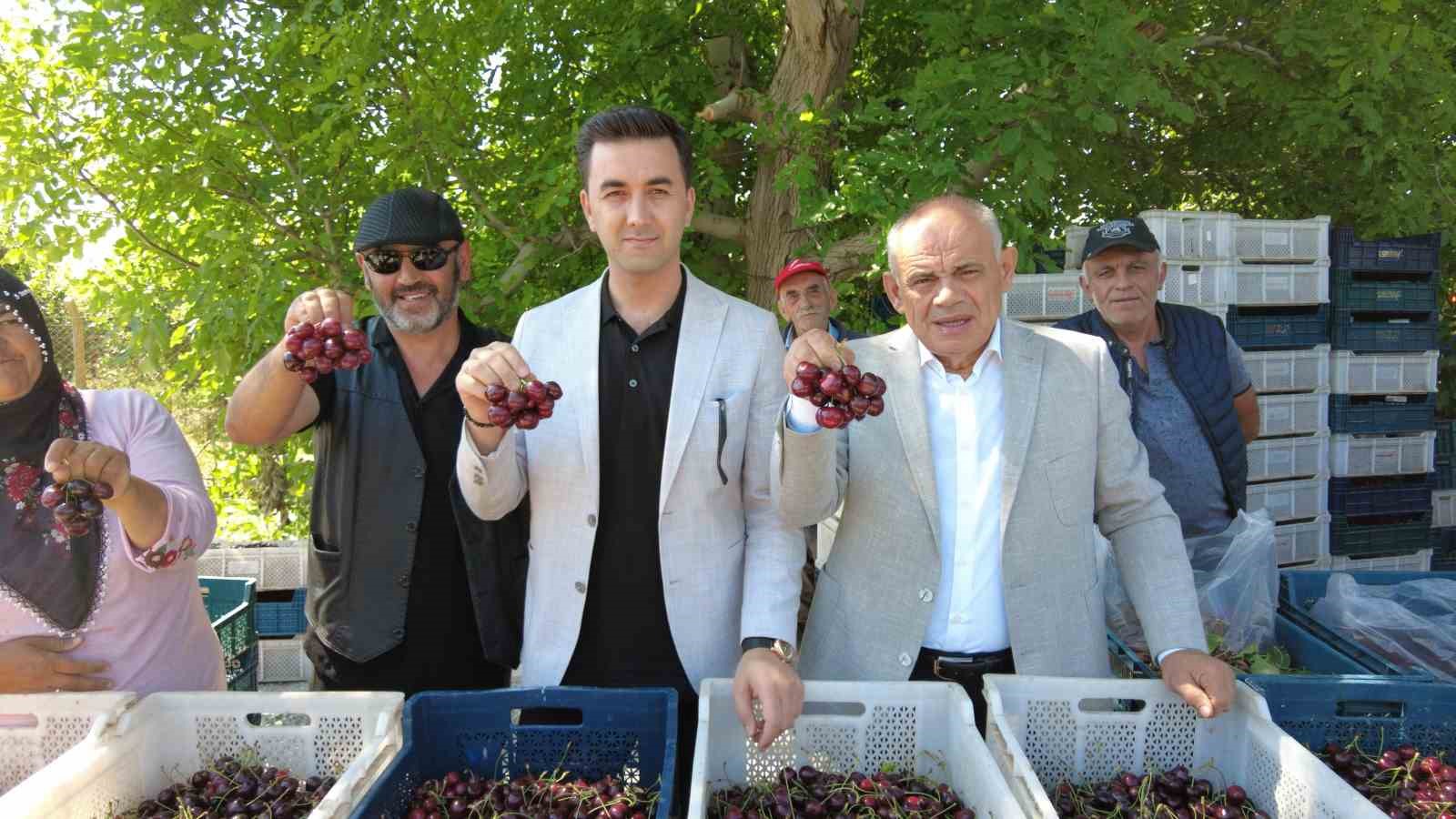 Dünya sofralarını süsleyen Yahyalı kirazının hasadı başladı