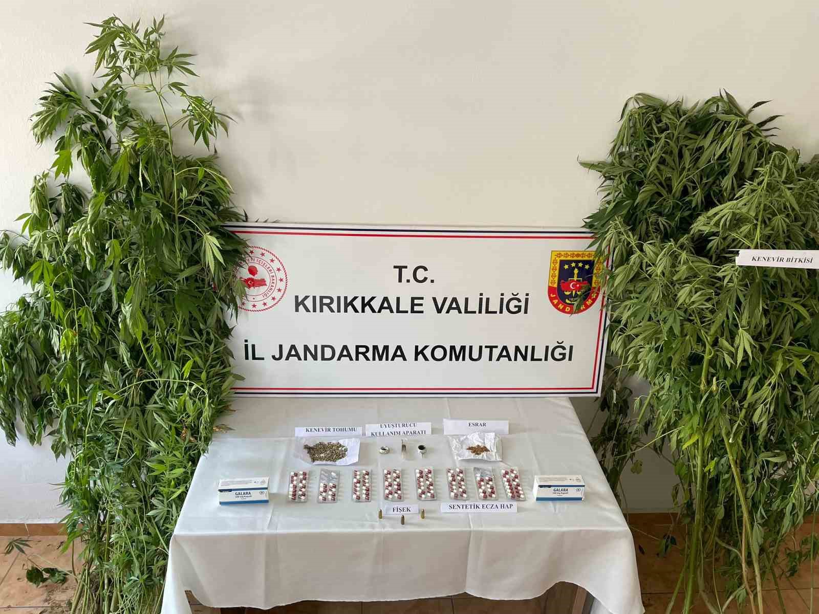 Çok sayıda kök keneviri ve hap ele geçirildi