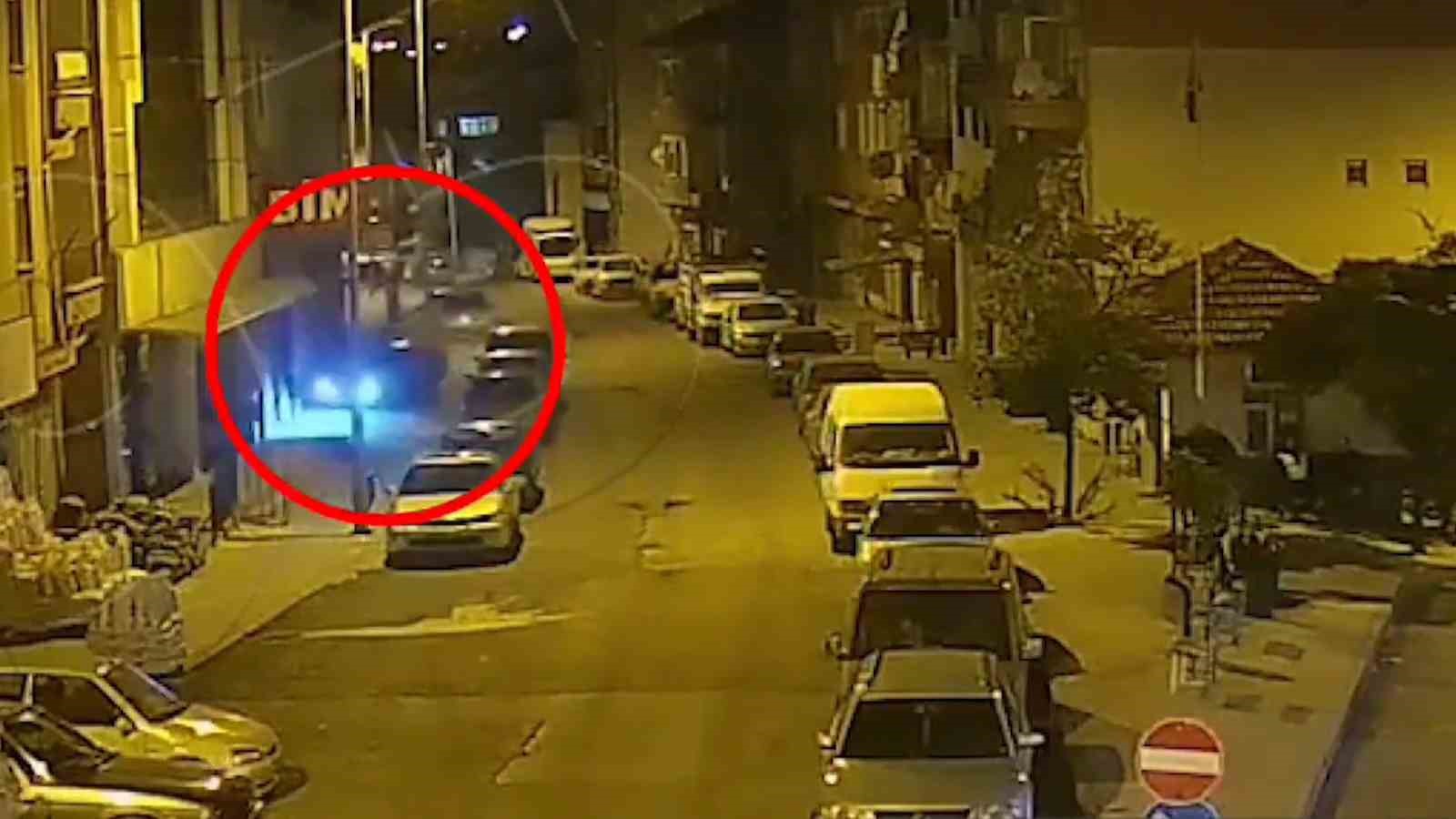 Yola çıkan 2 köpek kazadan kıl payı kurtuldu