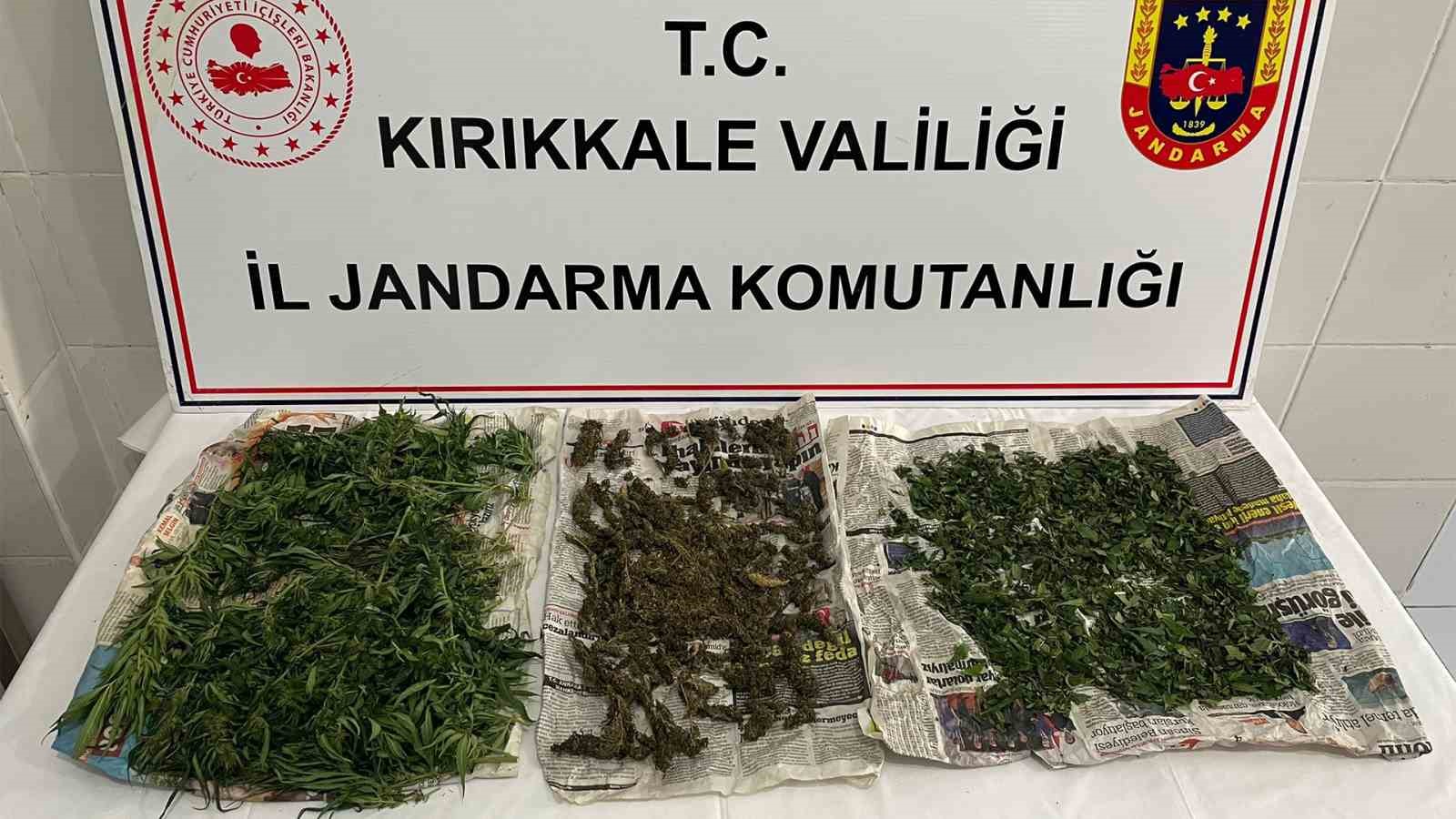 Saman yığınından uyuşturucu çıktı: Narkotik köpeği böyle buldu