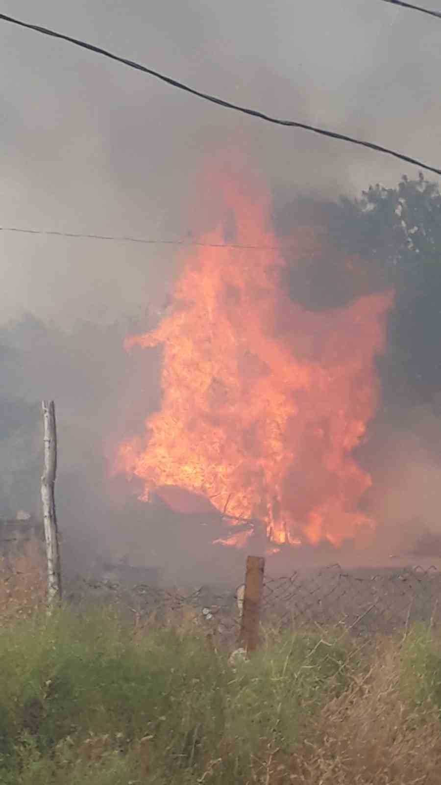Ankara’da kırsal alanda korkutan yangın