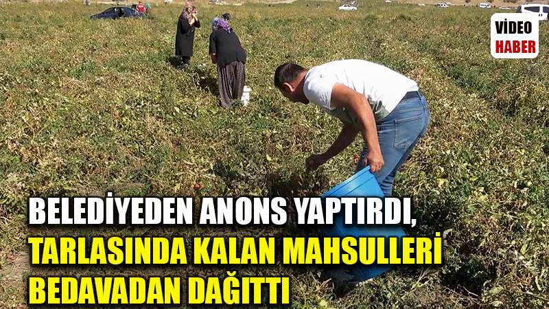 Belediyeden anons yaptırdı, tarlasında kalan mahsulleri bedavadan dağıttı