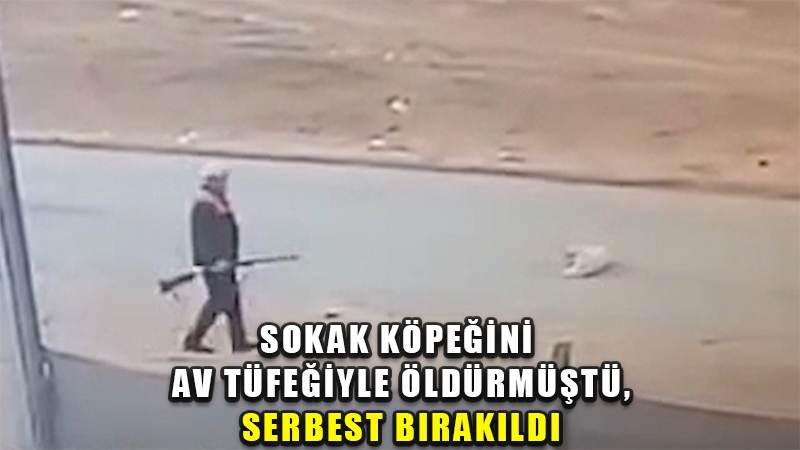 Sokak köpeğini av tüfeğiyle öldürmüştü, serbest bırakıldı