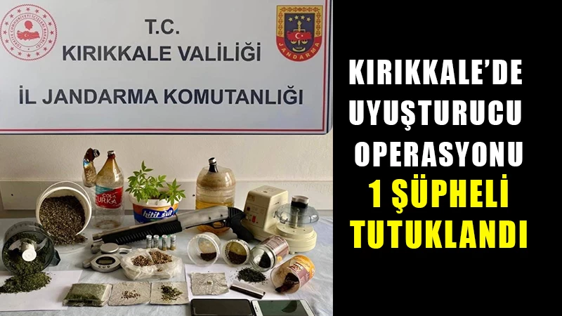 Jandarmanın yaptığı uyuşturucu operasyonunda 1 şüpheli tutuklandı