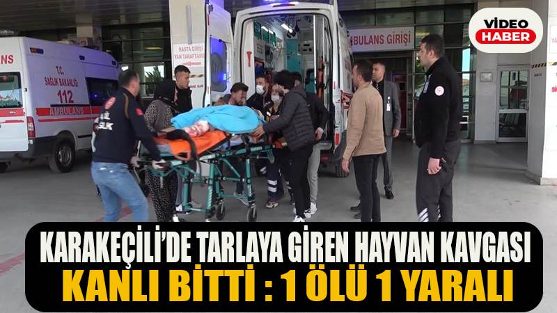 KARAKEÇİLİ'DE TARLAYA GİREN HAYVAN KAVGASI KANLI BİTTİ 1 ÖLÜ 1 YARALI