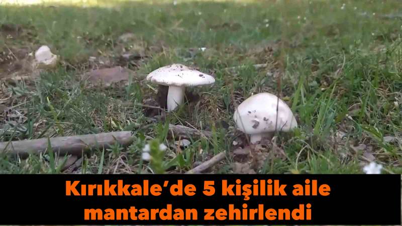 Kırıkkale’de 5 kişilik aile mantardan zehirlendi