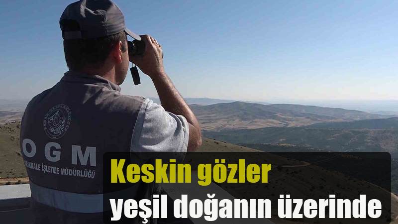 Keskin gözler yeşil doğanın üzerinde