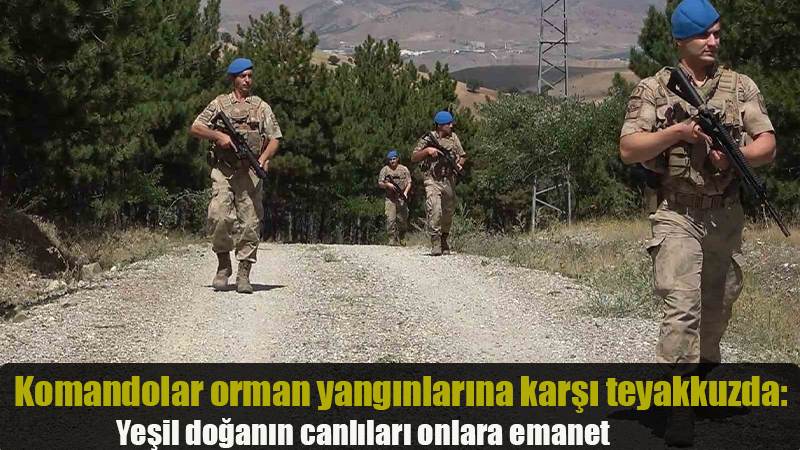 Komandolar orman yangınlarına karşı teyakkuzda: Yeşil doğanın canlıları onlara emanet