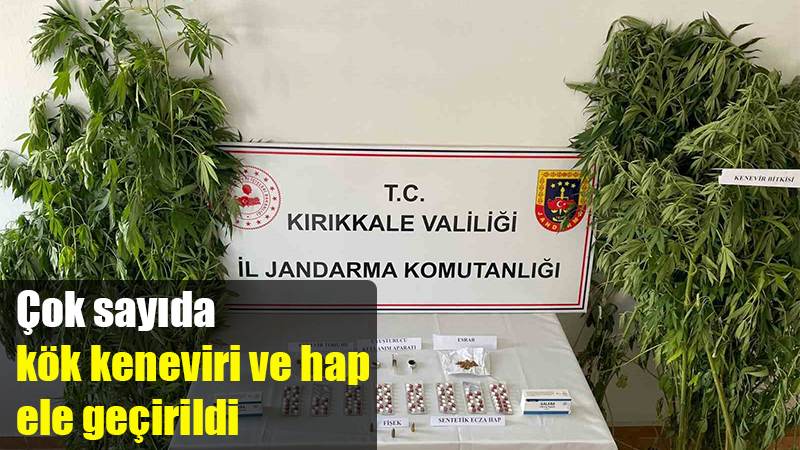 Çok sayıda kök keneviri ve hap ele geçirildi