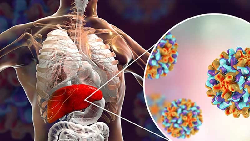 HEPATİT HASTALIĞI OLANLAR DİKKAT!