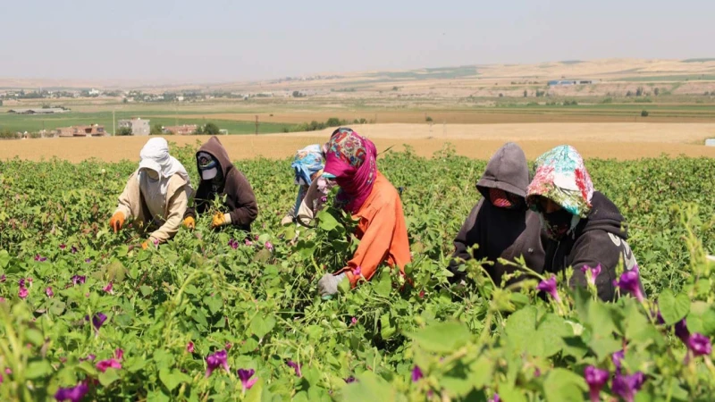 Öztürk: “Kadın çiftçilerimiz olmaza olmazımızdır”