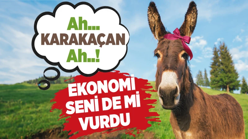 Kırıkkale’de sosyal medya ‘Karakaçan’ı konuşuyor