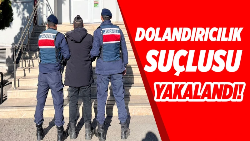 Dolandırıcılık suçlusu yakalandı!