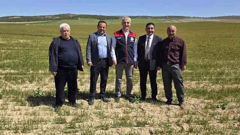 Keskin’de zirai don için incelemeler yapıldı