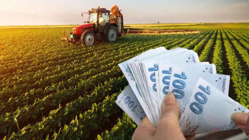 Çiftçilere 345 milyonluk ödeme yapılıyor