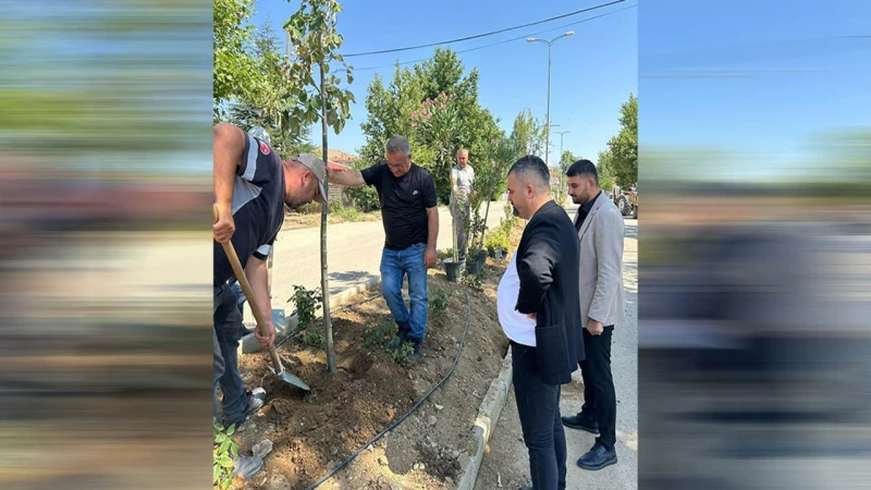 Hacılar’da yeşil dönüşüm