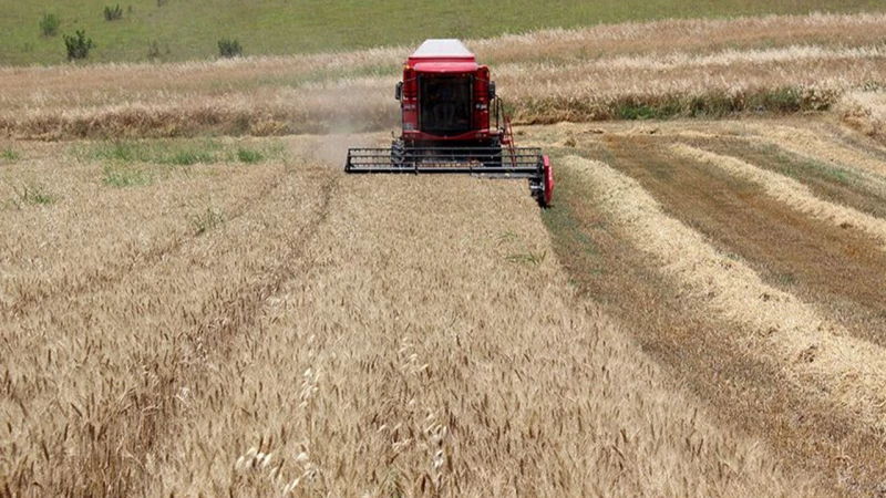 Kırıkkale’de o gübre yeniden kullanılacak: İzin çıktı!